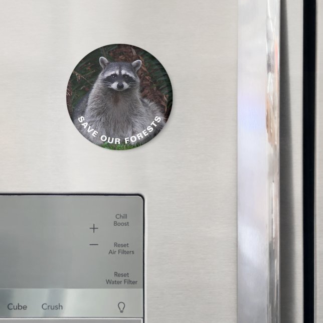 Aimant Raccoon Wildlife Photo Conservation de la forêt (In situ (réfrigérateur))