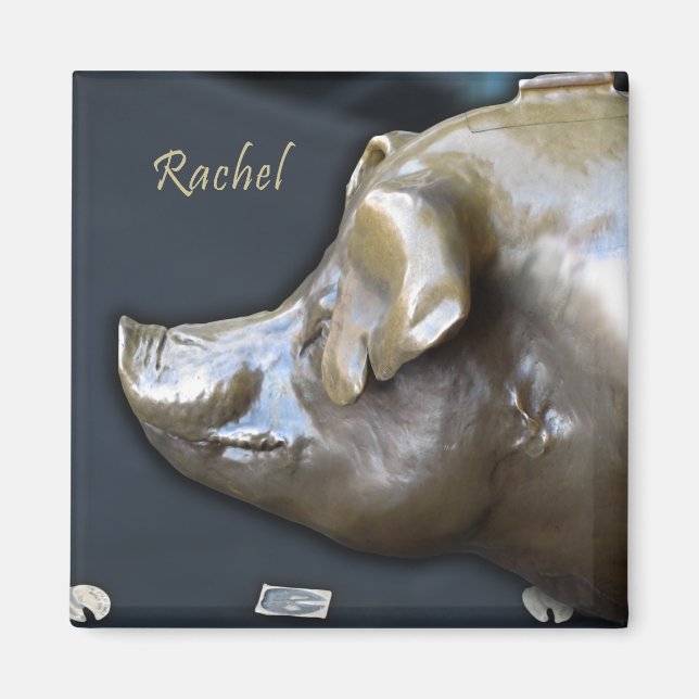 AIMANT RACHEL LE MATÉRIEL DE LA BANQUE PIGGY (Devant)