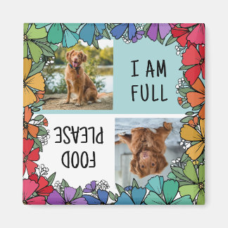 Aimant Rainbow Floral Frame Chien Fed Photo