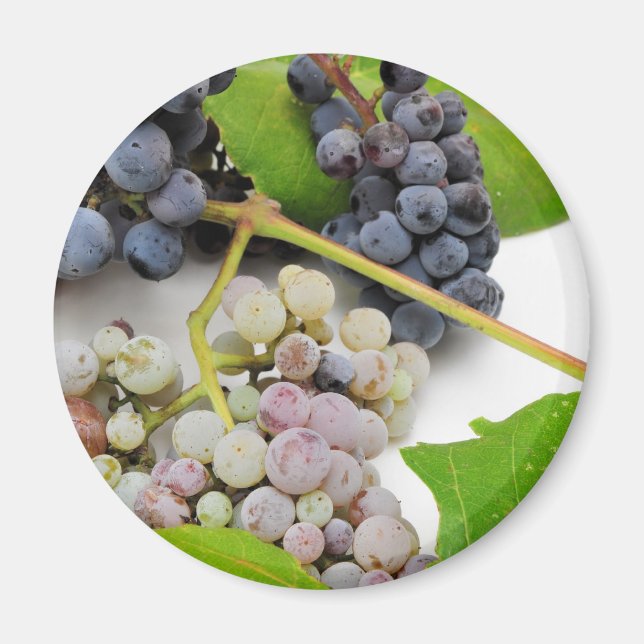 Aimant Raisin Sauvage Et Feuille (Devant)