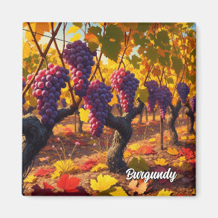 Aimant Raisins en Bourgogne France Voyage