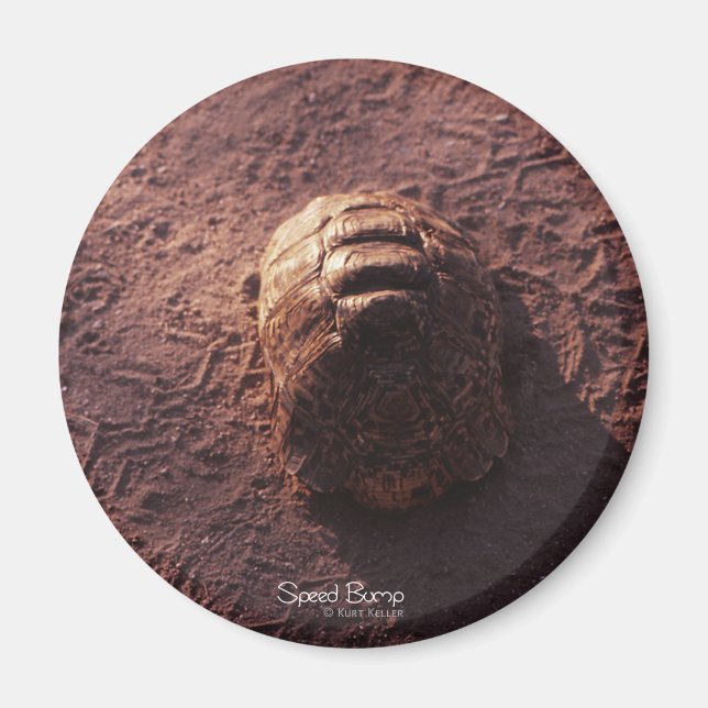 Aimant Ralentisseur (Devant)