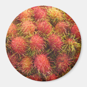 Aimant Rambutan Tropical Fruit
