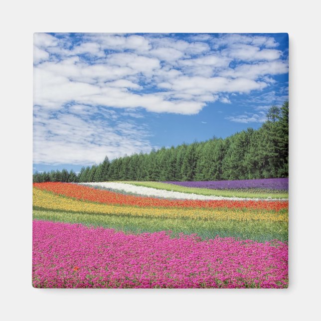 Aimant Rangées de fleurs de champ d'été (Devant)