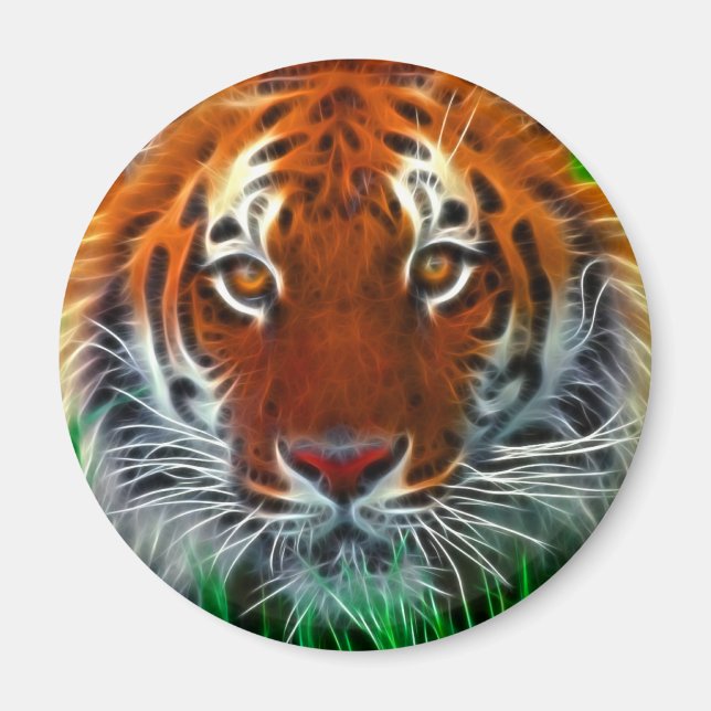 Aimant Rare Sumatran Tiger d'Indonésie (Devant)