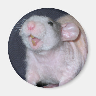 Aimant Rat au sourire mignon