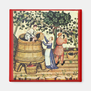 AIMANT RÉCOLTE ANTIQUE DE VIGNES