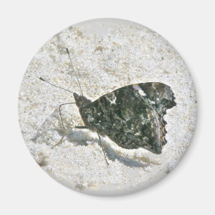 Aimant Red Admiral Butterfly on Beach Coordinating Items
