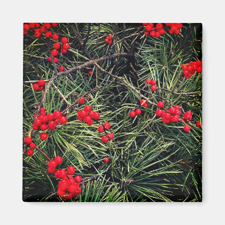 Aimant Red Berries Pine Needles Christmas