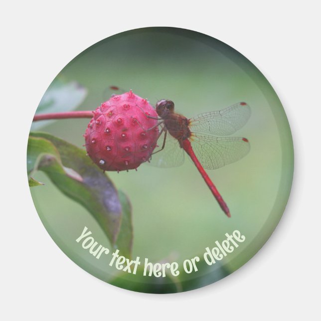 Aimant Red Dragonfly Nature Personalized (Devant)