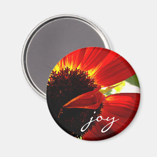 Aimant Red Gerbera Daisy Photo Joie Script Bold Modern