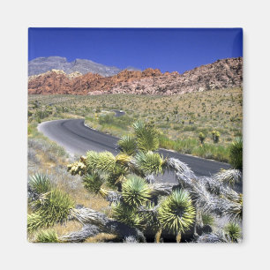 Aimant Red Rock Canyon National Conservation Area, Las