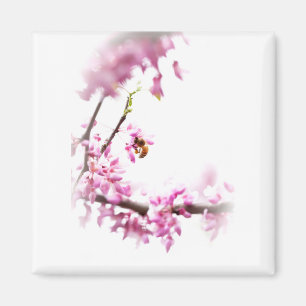 Aimant Redbud et abeille de miel-8742