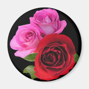Aimant RedPinkTonedRoses2