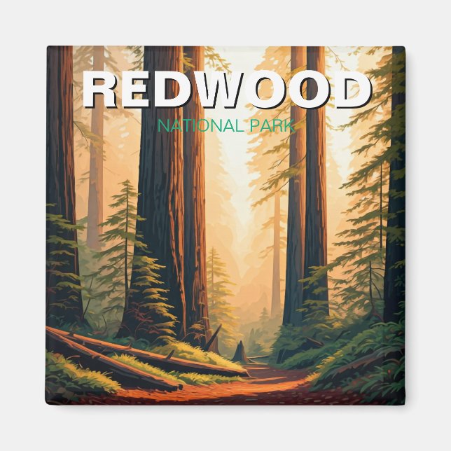 Aimant Redwood National Park California Travel (Devant)