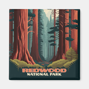 Aimant Redwood National Park Californie Trees