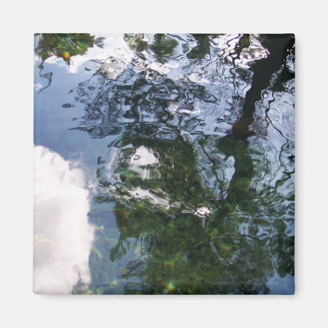 Aimant Réflexion dans l'aimant de l'étang d'esturgeon (Devant)