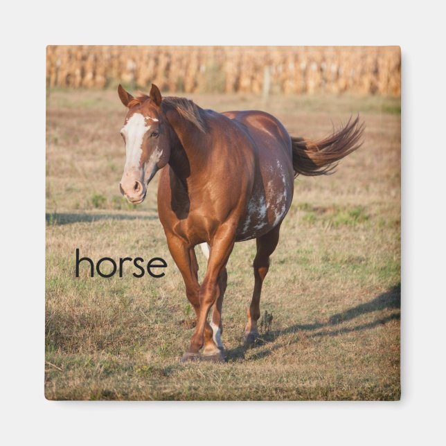 Aimant Réfrigérateur à cheval (Devant)