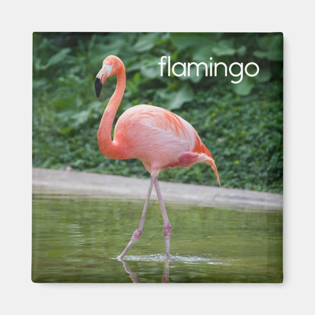 Aimant Réfrigérateur de Flamant rose (Devant)