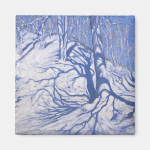 Aimant Région boisée d'hiver près de Courcheval 2008