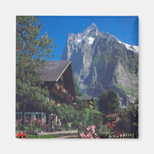 Aimant Région de Grindelwald, Jungfrau