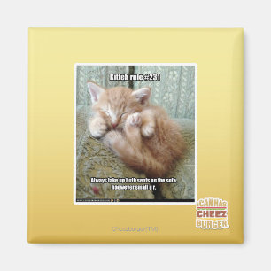 Aimant Règle #231 de Kitteh