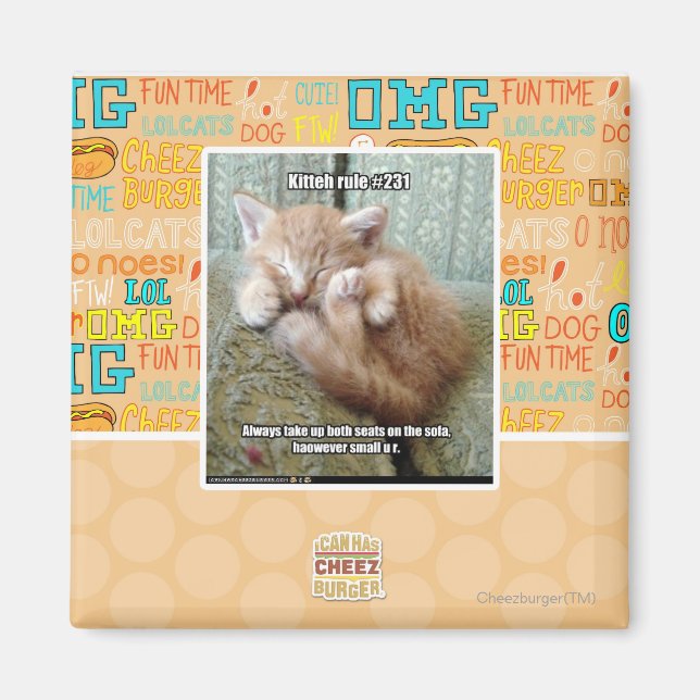 Aimant Règle de Kitteh #231 (Devant)