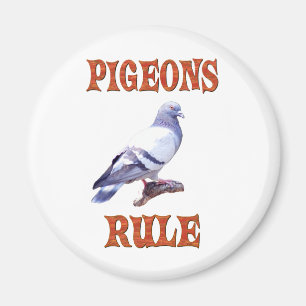 Aimant Règle des pigeons