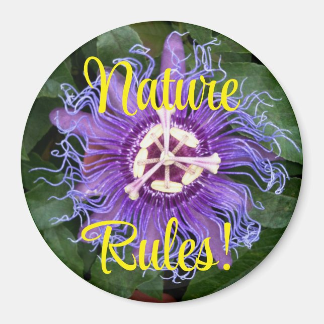 Aimant Règles de la nature Passionflower violette Gros pl (Devant)