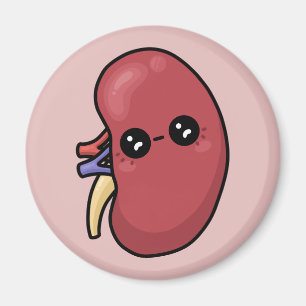 Aimant Rein mignon - Biologie humaine