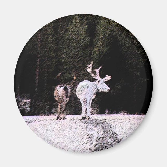 Aimant Reinder (Devant)