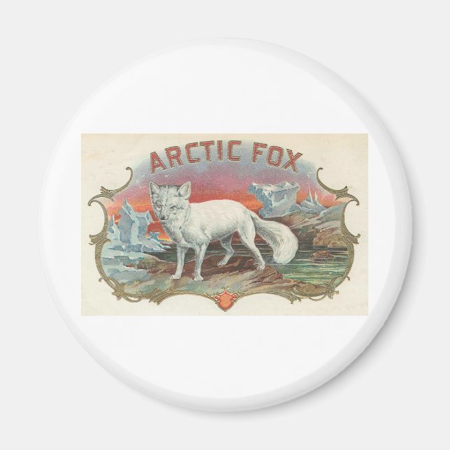 Aimant Renard arctique vintage (Devant)