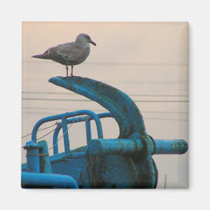 Aimant Repos de mouette sur l'Ancre du bateau   Choshi