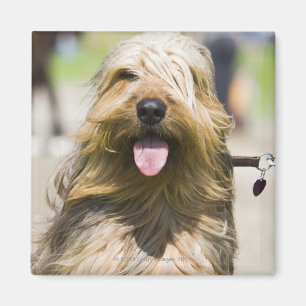 Aimant représentation de la langue, longs cheveux,