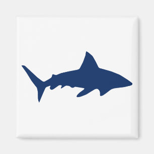 Aimant Requin