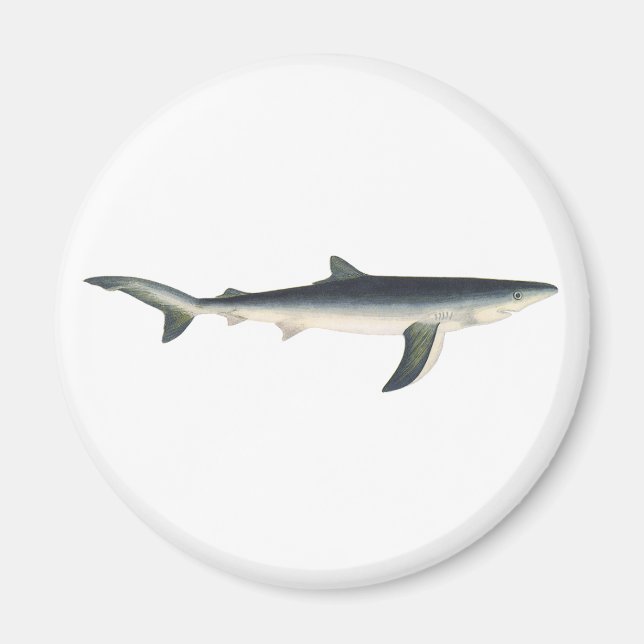 Aimant Requin Bleu, Vie Maritime Aquatique Océanique Vint (Devant)