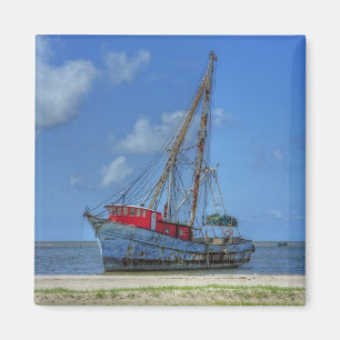 Aimant Requin de tigre