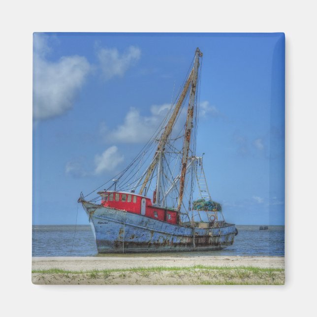 Aimant Requin tigre (Devant)