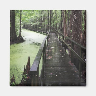 Aimant réserve côtière de santee