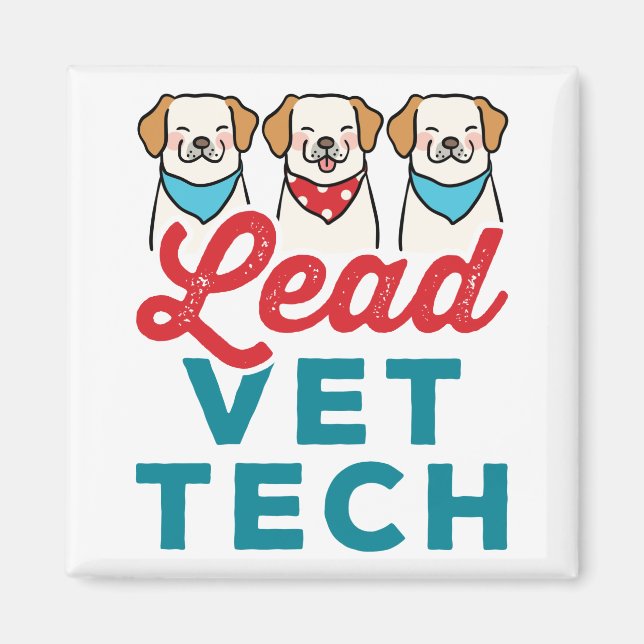 Aimant Responsable Vet Technicien vétérinaire Superviseur (Devant)