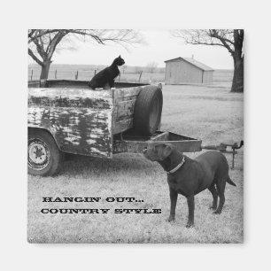 Aimant Retirer l'aimant