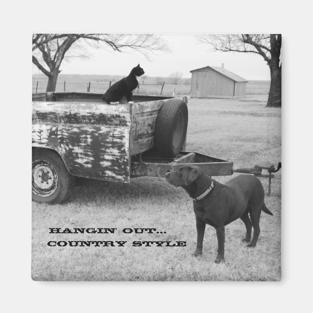 Aimant Retirer l'aimant (Devant)