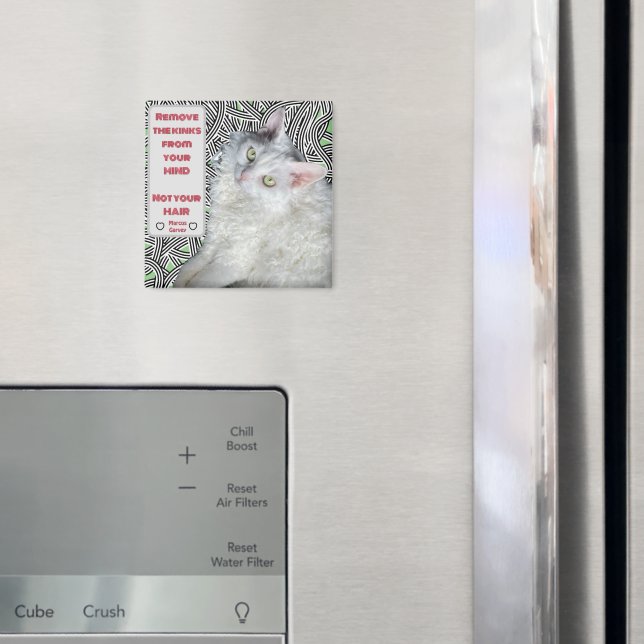 Aimant Retirez les roses de votre esprit, pas vos cheveux (In situ (réfrigérateur))