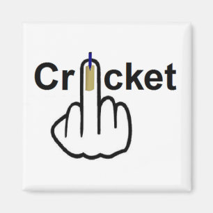 Aimant Retourner du cricket magnétique