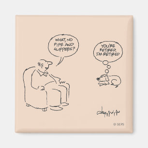Aimant Retraité