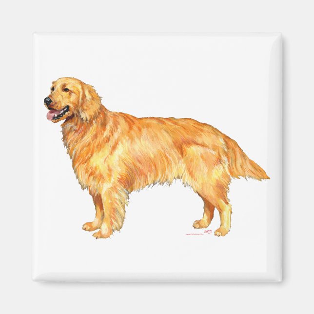Aimant Retriever doré (Devant)