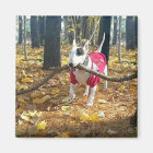 Rex bâton d'automne du jour