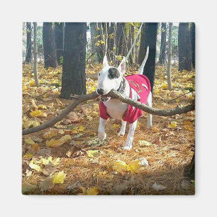 Aimant Rex bâton d'automne du jour