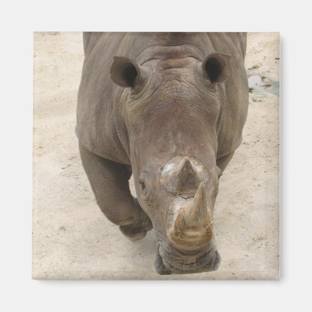 Aimant Rhino (Devant)