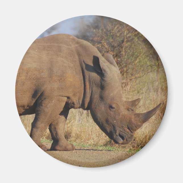 Aimant Rhino (Devant)